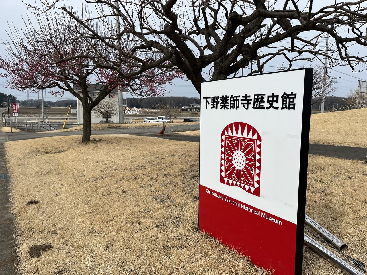 下野市薬師寺歴史館