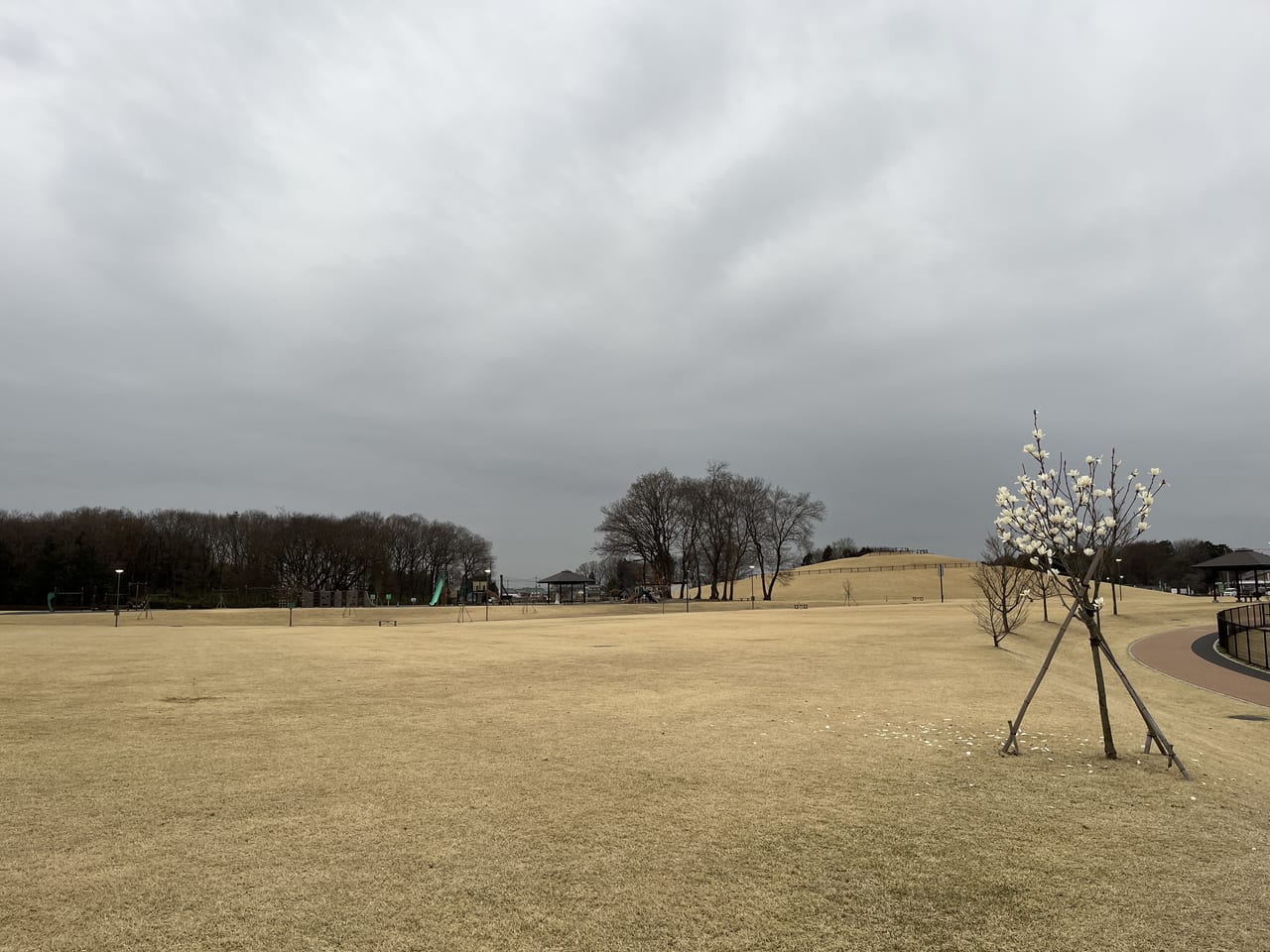 ふれあい公園