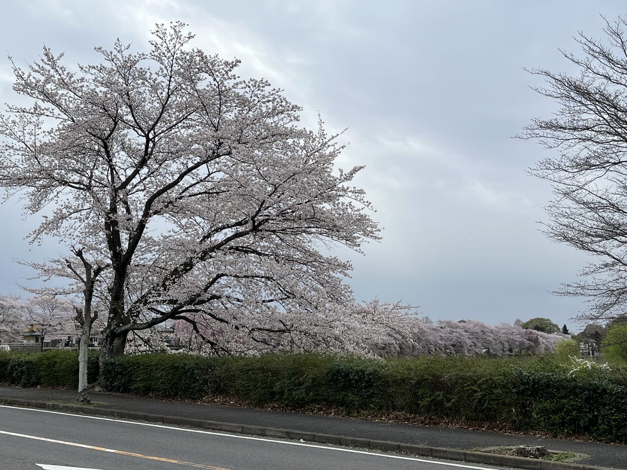 烏ヶ森公園