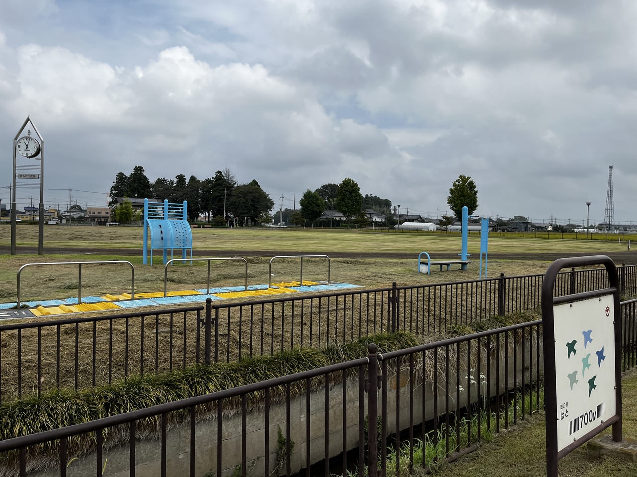 公園の芝生